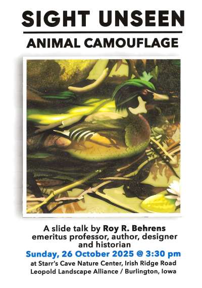 animal camoflage sz.jpg